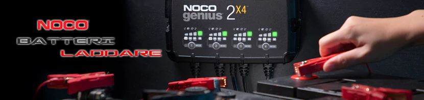 Batteriladdare för dina fordon